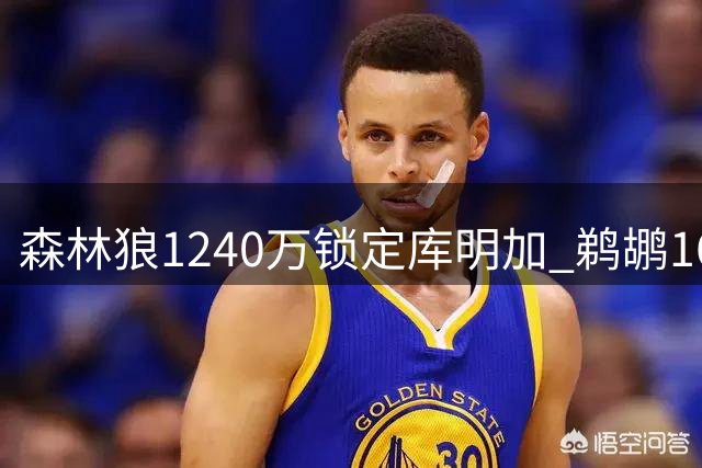 森林狼1240万锁定库明加 鹈鹕1600万签马瑟林