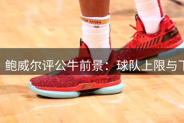 鲍威尔评公牛前景：球队上限与下限同样令人瞩目